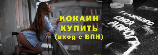 стаф Волосово