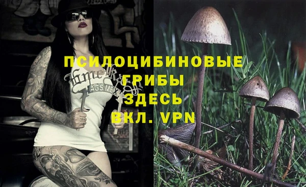 ECSTASY Вязьма