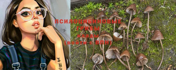 a pvp Вяземский